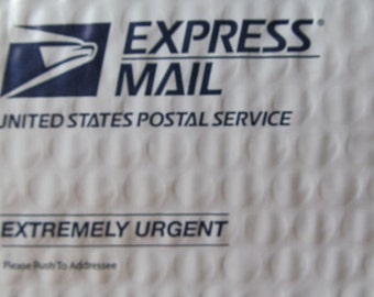 Express INTERNATIONAL and DOMESTIC  Shipping-Upgrade to Express Mail from ReVintageLannieJewls Etsy Shop Only  Domestic USA