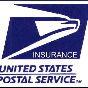 250 Dollar Insurance Upgrade To Add Insurance To Domestic Shipments to 250.00 Value Additional Insurance on Items More Coverage Available