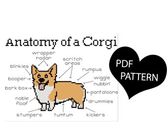 Welsh Corgi Anatomy of a Corgi Super Easy Small Cross Stitch PDF Pattern Dog Lovers Gift