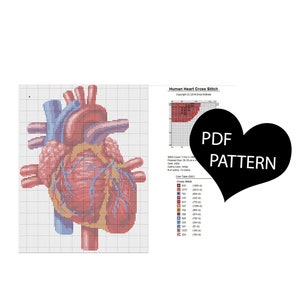 Human Heart X-Stitch Anatomical Detailed Realistic Cross Stitch PDF Pattern