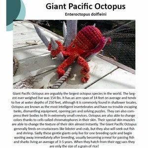 Giant Pacific Octopus Realistic Amigurumi Crochet Pattern PDF image 5