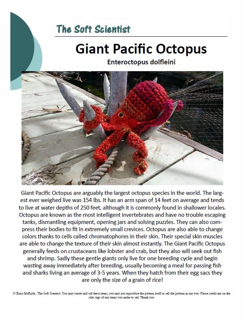 Giant Pacific Octopus Realistic Amigurumi Crochet Pattern PDF image 5