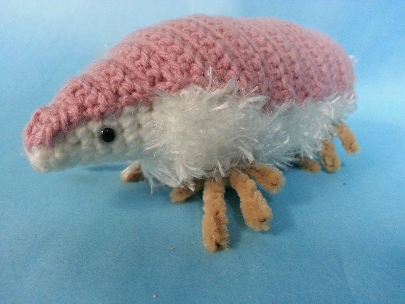 Image result for pink armadillo