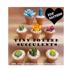 Tiny Potted Succulents PDF Pattern 8 in 1 Gift Miniature Plush Sewing Pattern Euphorbia Barrel Christmas Cactus