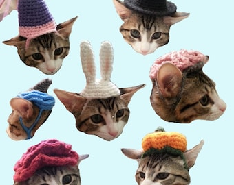 7 Cat Hat Patterns Halloween Costume Brain Pumpkin Witch Princess Rose Bunny Shark Amigurumi Crochet Pattern PDF 7 in 1