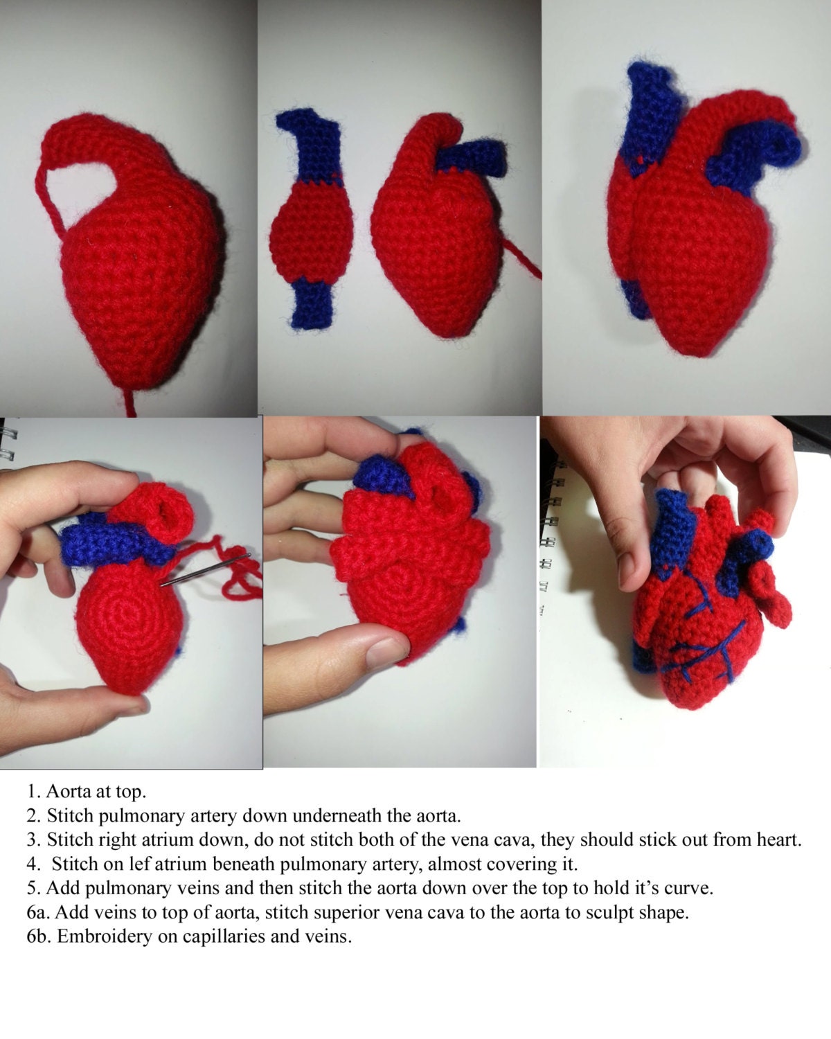 Human Heart Realistic Crochet Pattern 100% Scientifically Accurate