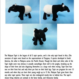 Malayan Tapir Realistic Amigurumi Crochet Pattern PDF image 5