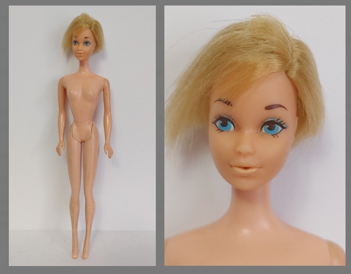 Fjord Generator Tulpen STANDARD BARBIE 1974 Europees / Canadees Nummer 8587 Steffie - Etsy  Nederland