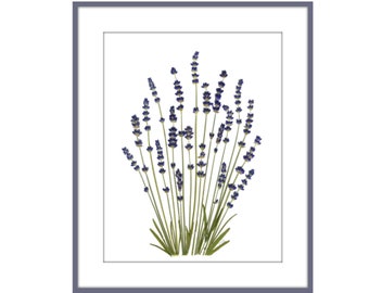 Lavender - Pressed Flowers - Pressed Flower Print - #131