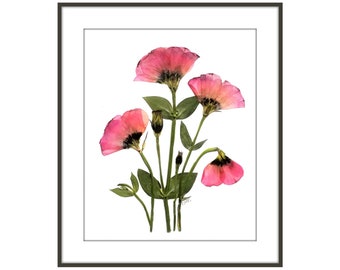 Lisianthus - Pressed Flower Art - 8 x 10 Print  #123