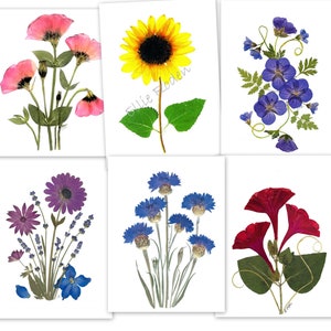 Tarjetas de flores prensadas, regalo para mamá, 6 tarjetas impresas - #124