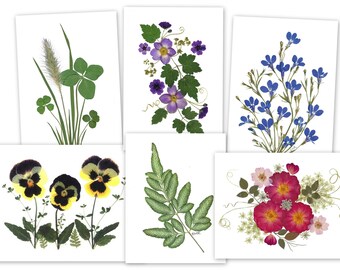 6 Assorted Pressed Flower Notecards - Prints of Original Designs #94