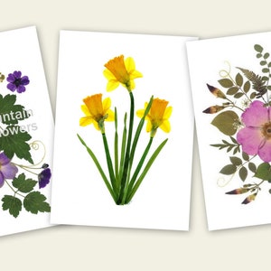6 Pressed Flower Cards set of 6 printed notecards Gift for Mom 064 image 1