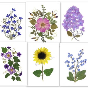 6 cartes Fleurs pressées - Cartes assorties - Cartes imprimées #130