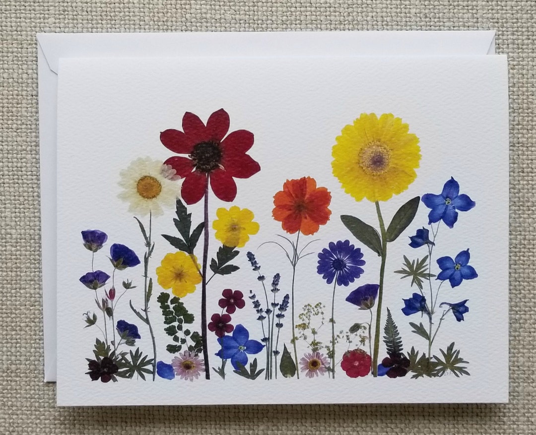 Set of 6 Pressed Flower Cards - Printed Notecards - Blank Inside ...