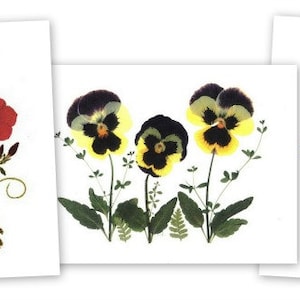 6 Tarjetas de notas de flores prensadas - Pansies, Phlox y Bachelor Buttons -Conjunto de 6 tarjetas impresas #073