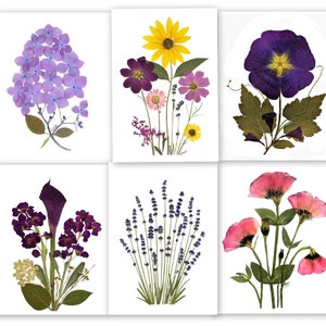 6 Gepresste Blumen Karten - Gedruckte Grußkarten - Verschiedene Karten - Dankeschön - #134