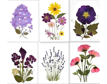 6 Pressed Flower Cards - Printed Notecards - Assorted Cards - Thank-you notes - #134
