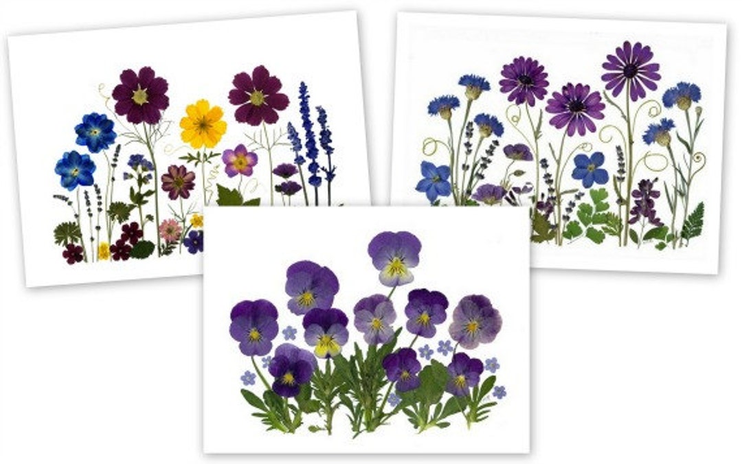 Set of 6 Pressed Flower Cards - Blank Notecards - Printed Cards ...