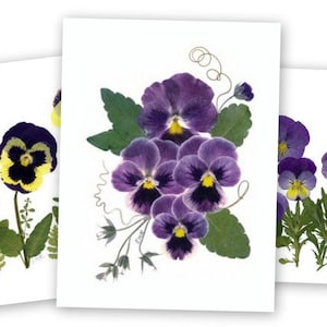 Amores-perfeitos, Cartões de flores prensadas, Conjunto de 6 cartões impressos - #061