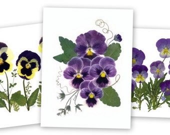 Pansies, Pressed Flower Cards, Set of 6 Printed Notecards - #061
