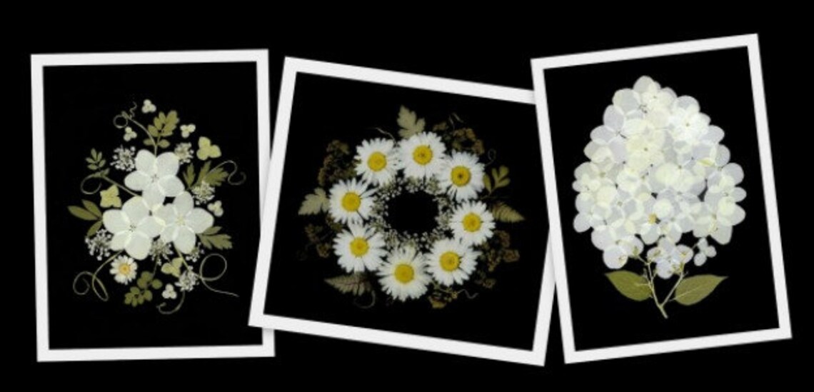 Pressed Flower Cards - Set of 6 Printed Notecards - Blank Cards #132 - Etsy
