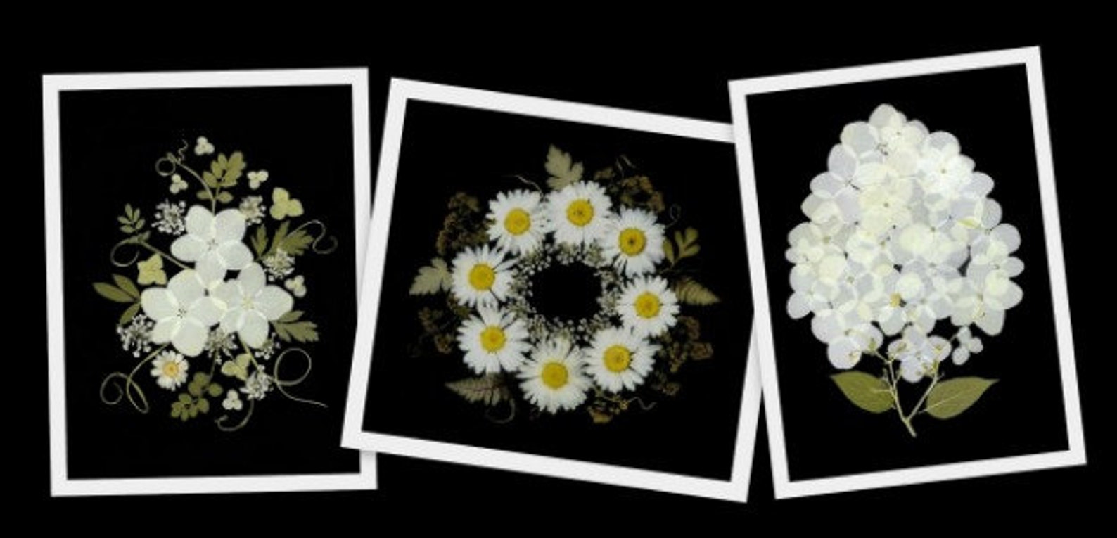 Pressed Flower Cards - Set of 6 Printed Notecards - Blank Cards #132 - Etsy