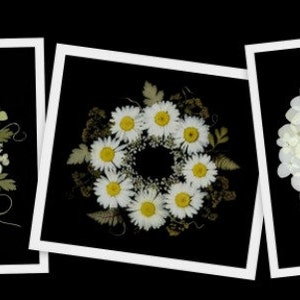 Cartes fleuries pressées - Ensemble de 6 cartes de notes imprimées - Cartes vierges #132
