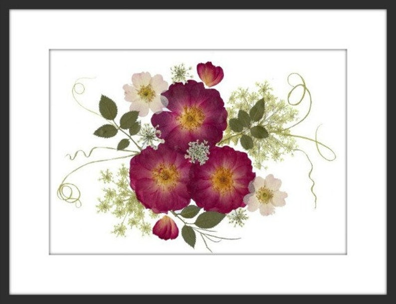 Pressed Flower Art Print 3 Roses 8x10 052 image 1