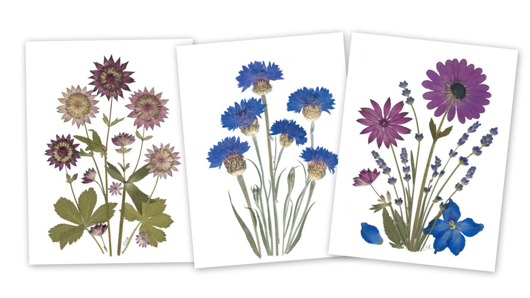 6 Pressed Flower Cards - Set of 6 Printed Notecards - Vermont Pressed ...