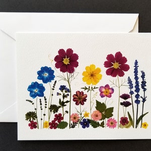 6 tarjetas de flores prensadas, conjunto de 6 tarjetas de notas en blanco impresas, Jardín de julio - #117