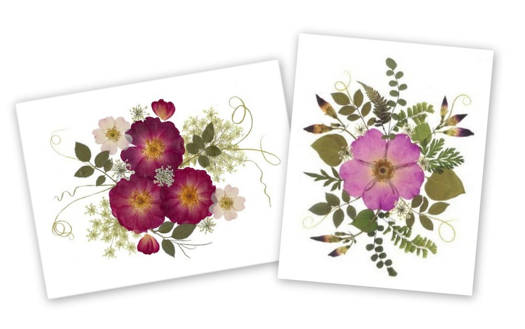 Set of 6 Pressed Flower Cards - Pink and Red Roses Printed Notecards ...
