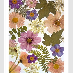 6 cartões de flores prensadas impressas - Colagem de flores prensadas - Pequeno presente perfeito #138