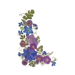 6 tarjetas de flores prensadas - Conjunto de 6 tarjetas de notas impresas - Papelería en blanco - #054
