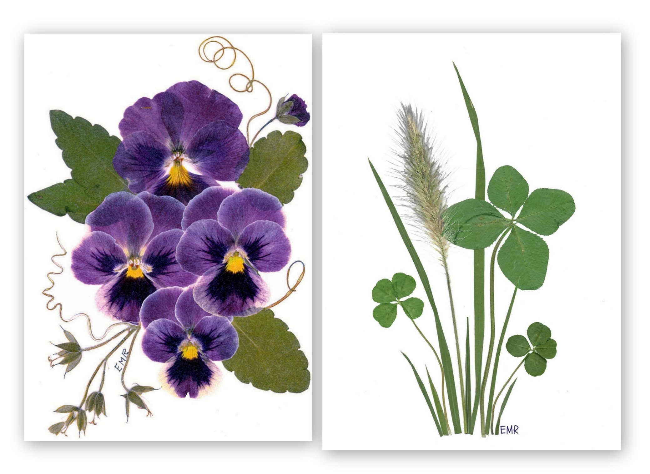 Set of 6 Pressed Flower Cards - Printed Notecards - Best Seller #114 - Etsy