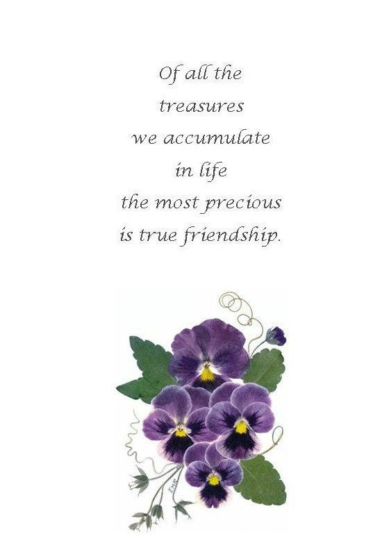 Friendship Bookmarks Set of 4 Pressed Flower Bookmarks Quotes About ...