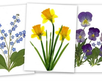 Spring flowers - 6 Pressed Flower Cards - Printed Notecards Blank Notecards #029