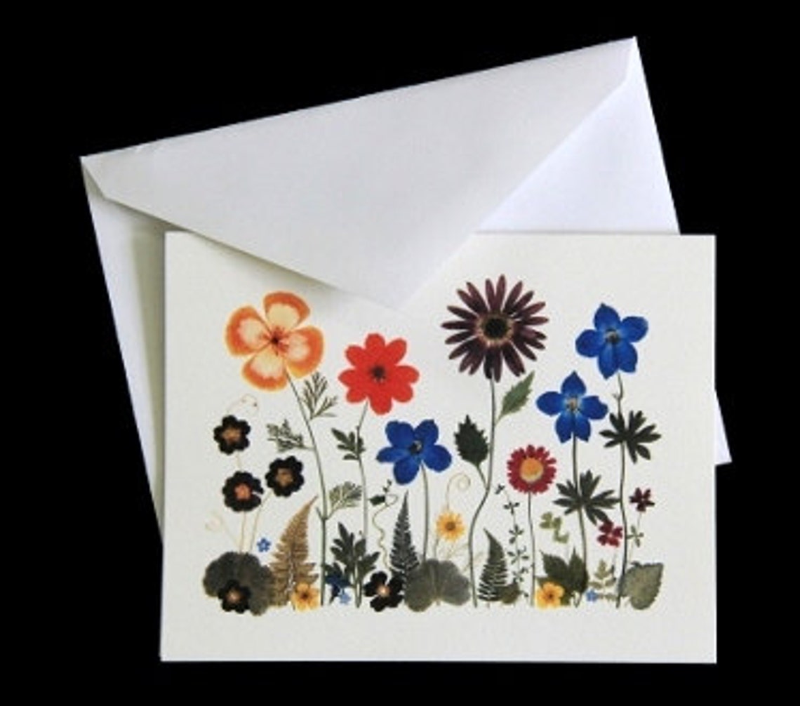 Pressed Flower Cards - Set of 6 Printed Notecards - Pressed Flowers ...