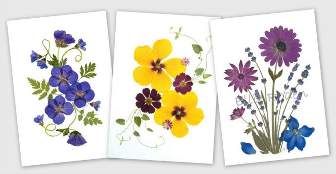6 Pressed Flower Cards - Set of 6 Printed Notecards - Thank You ...