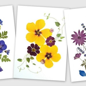 6 Pressed Flower Cards - set of 6 printed notecards - Thank you notecards - #035