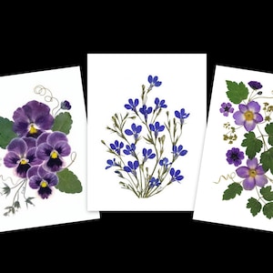6 Notecards - set of 6 printed pressed flower  cards - Teacher gift - #024
