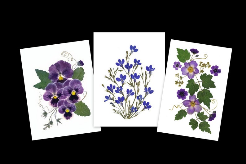 6 Notecards set of 6 printed pressed flower cards Teacher gift 024 image 1