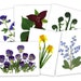 see more listings in the Pressed Flower Cards section