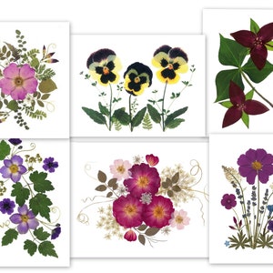 Blumen Grußkarten - Set mit 6 Blumen - #133