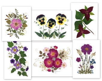 Pressed Flower Cards - set of 6 printed notecards - #133