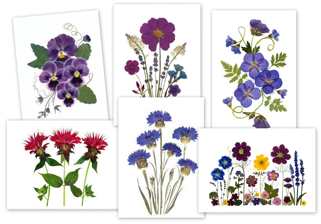 6 Assorted Notecards - Pressed Flower Cards - Printed Cards - Gift for ...