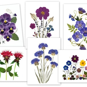 6 cartes de notes assorties - Cartes de fleurs pressées - Cartes imprimées - Cadeau pour elle - #089