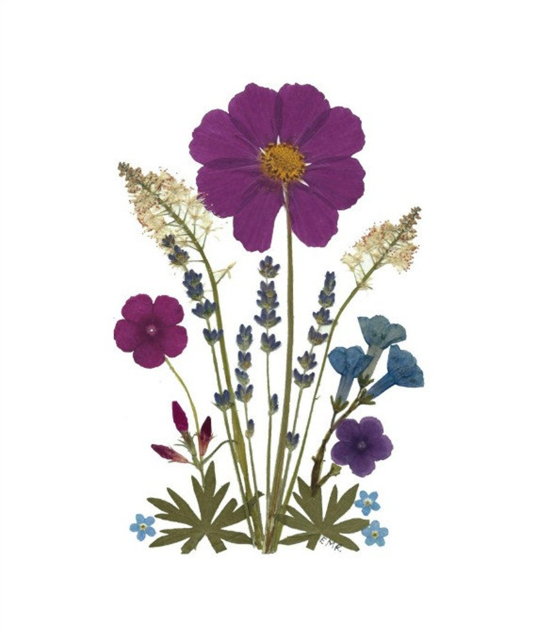 Pressed Flower Cards - Set of 6 Printed Notecards - Thank-you Notes - Etsy