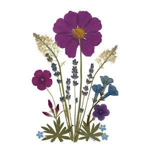 Cartes de fleurs pressées - Ensemble de 6 cartes de notes imprimées - Notes de remerciement