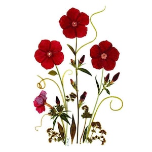 6 tarjetas con flores prensadas - Juego de 6 tarjetas impresas - Phlox - N.º 074
